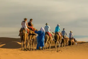 Camel Ride