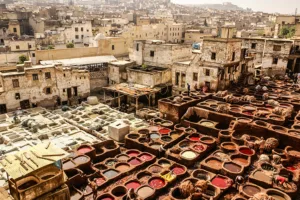 Fes Tanneries