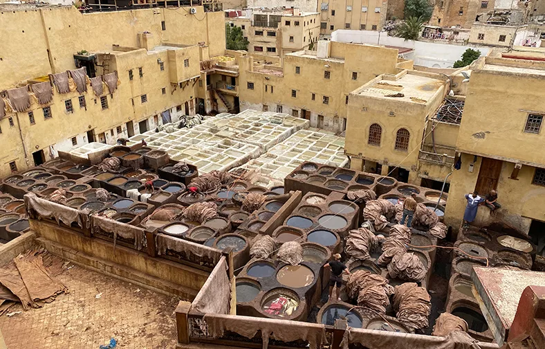 fes tannery